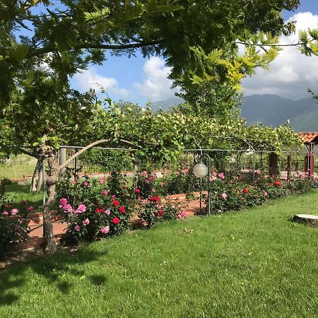 Alma Migrante Bed&Wine Telese Terme Exterior foto