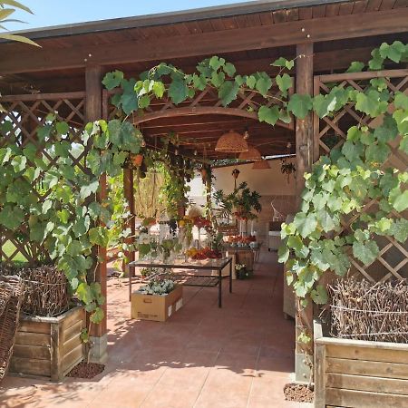 Alma Migrante Bed&Wine Telese Terme Exterior foto