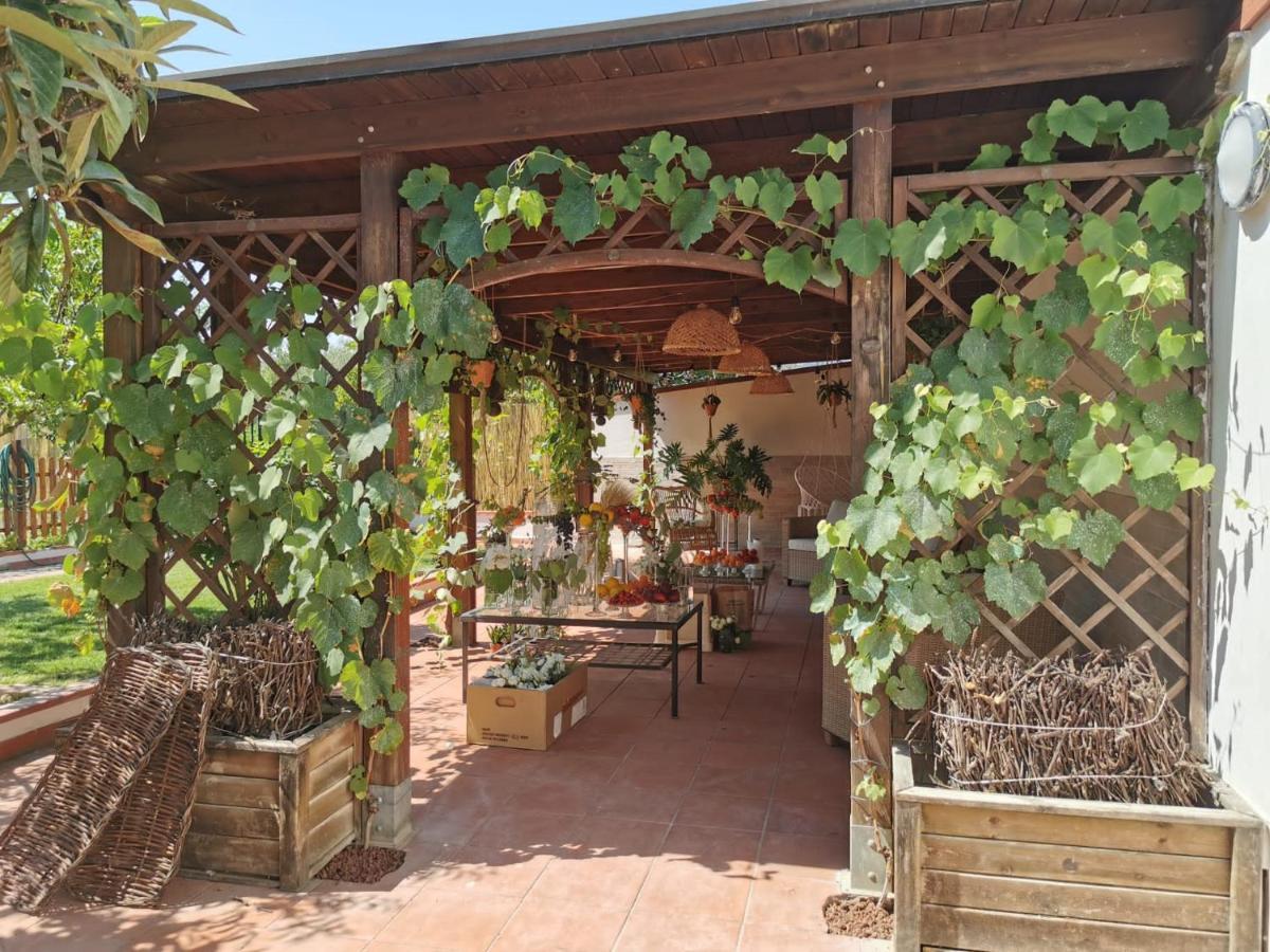 Alma Migrante Bed&Wine Telese Terme Exterior foto
